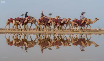 Details of 3rd Crown Prince Camel Festival revealed