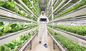 Dubai to set up vertical farm for sustainable produce