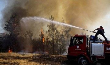 Turkish tourism sector hit hard by wildfires