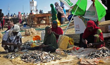 Somalia seeks Saudi investment in fishery project