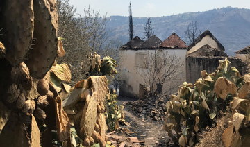 Algeria forest fires extinguished: emergency services