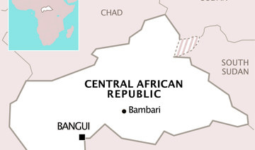 At least 12 killed in Central African Republic road ambush