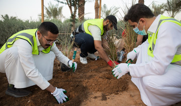 Local community unites to green Diriyah