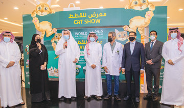 LuLu marks World Animal Day with cat show & pet care deals