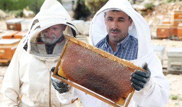 Turkish fires endanger world pine honey supplies