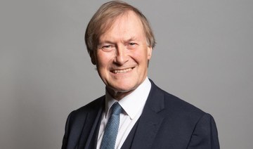 Conservative MP for Southend West, David Amess, posing for an official portrait photograph at the Houses of Parliament. (AFP/Richard Townshend/UK Parliament)