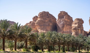 KSA, Egypt discuss environmental cooperation
