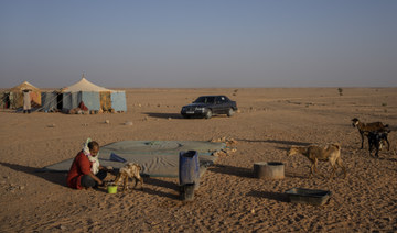 Algeria rejects Western Sahara talks