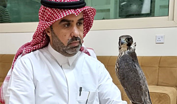 Saudi Arabia’s falcon auction houses exhibit the finest birds of prey