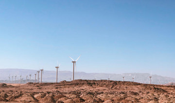 Saudi Arabia’s first industrial-scale wind farm to be fully operational within weeks - EDF