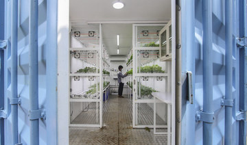 NADEC, Pure Harvest Smart Farms to build high-tech greenhouse