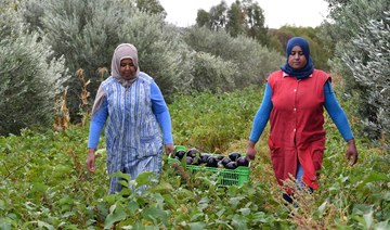 Organic farmers find fertile ground in North Africa