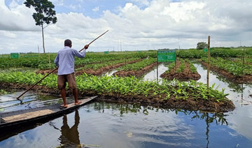 Bangladeshi farmers revive ancient hydroponics
