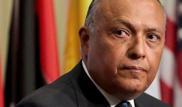 Egyptian foreign minister discusses Libyan elections, Sudan at media briefing