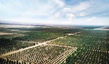Tanmiah Food Company to plant one million trees by 2025 to help Saudi environment
