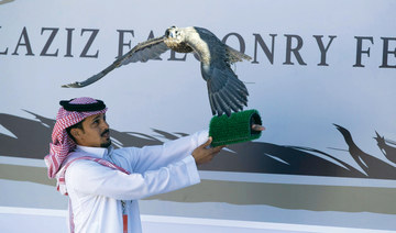 King Abdulaziz Royal Reserve reveals its treasures at falconry festival