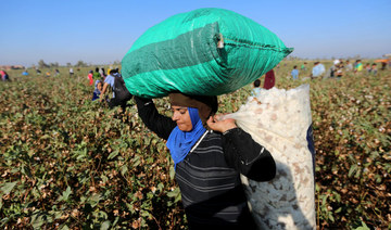 Egypt to increase cotton gins capacity, says official report