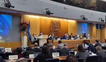 Saudi Arabia, UAE elected to International Maritime Organization council