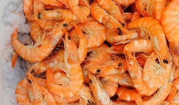 Saudi shrimp exports to Russia to hit 20,000 tons in 2022, fisheries development chief says
