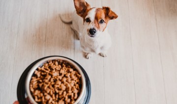 Holiday gifts taken from luggage, replaced with dog food