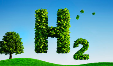 Namibia eyeing emerging market for green hydrogen: WSJ 