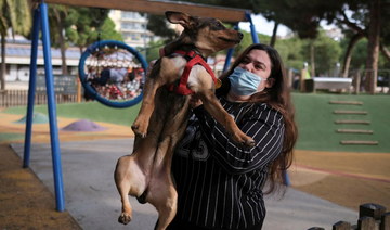 Dog custody: Spain to consider pets’ welfare in divorce battles