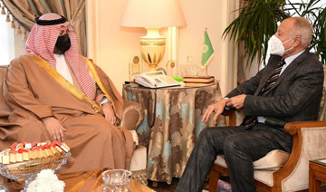 Arab League chief meets Gulf development president