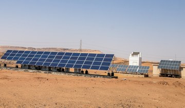 Egypt sees first private issuance of green bonds 
