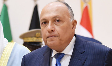 Egypt FM outlines plans for COP27 climate summit
