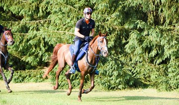 Endurance ace Carmine Villani a high achiever in and out of the saddle