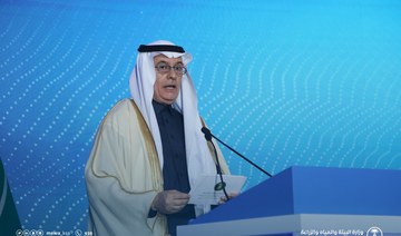 Saudi Arabia aims to create regional center for fisheries: minister