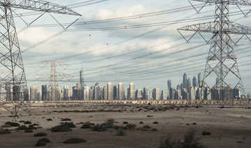 Dubai Supreme Council of Energy to slash 30% of carbon emissions by 2030