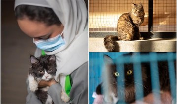 In Saudi Arabia, one woman raises awareness about animal welfare one rescue at a time
