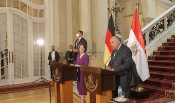 Egypt establishes relations on the basis of mutual respect, says foreign minister 