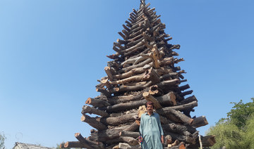 Environmentalists call for end to popular bonfire festival held in memory of Pakistani saint