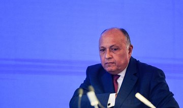 Egypt FM urges end to Syrian political stalemate