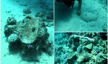A Saudi archaeological mission discovered hundreds of antique pieces that were part of a sunken ship in the Red Sea, about 300 meters from the coast of Haql (Northwest of Saudi Arabia). (SPA)
