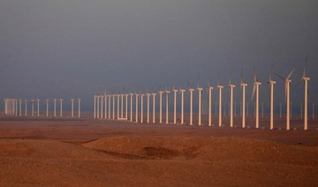 Egypt signs green energy deal with Saudi ACWA