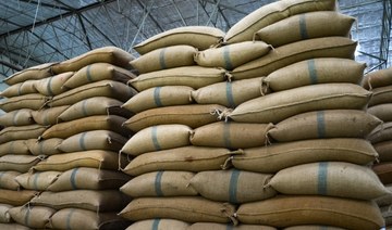 Egypt: No need for more wheat imports in short or medium term