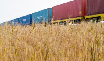 Ukraine crisis: Egypt explores alternative wheat sources, PM warns greedy traders