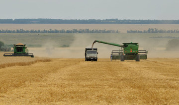 Farmers bring in the harvest with their combine harvesters on a wheat field in the southern Russian Stavropol region. (AFP file photo)