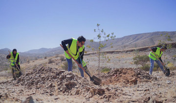 King Abdulaziz Royal Reserve to plant 3.1 million trees in Saudi Arabia by 2027