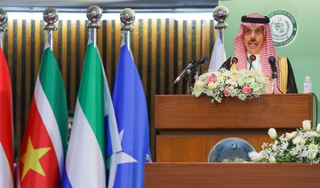 Saudi Arabia urges OIC states to help curb Houthi aggression
