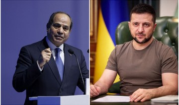 Egyptian, Ukrainian presidents discuss conflict