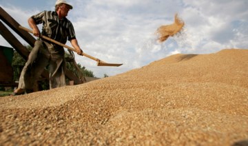 According to the World Food Program, the Ukraine crisis has resulted in increased prices for grain and other food items in the Palestinian Territories. (AFP/File Photo)