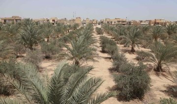 Iraq ‘green belt’ neglected in faltering climate fight