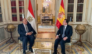 Egyptian, Spanish FMs hold talks