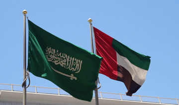 UAE remains Saudi Arabia’s top non-oil export destination despite drop