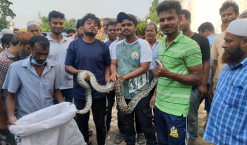 Bangladeshi youths changing fear of snakes one rescue at a time