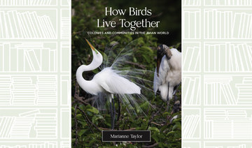 What We Are Reading Today: How Birds Live Together: Colonies and Communities in the Avian World